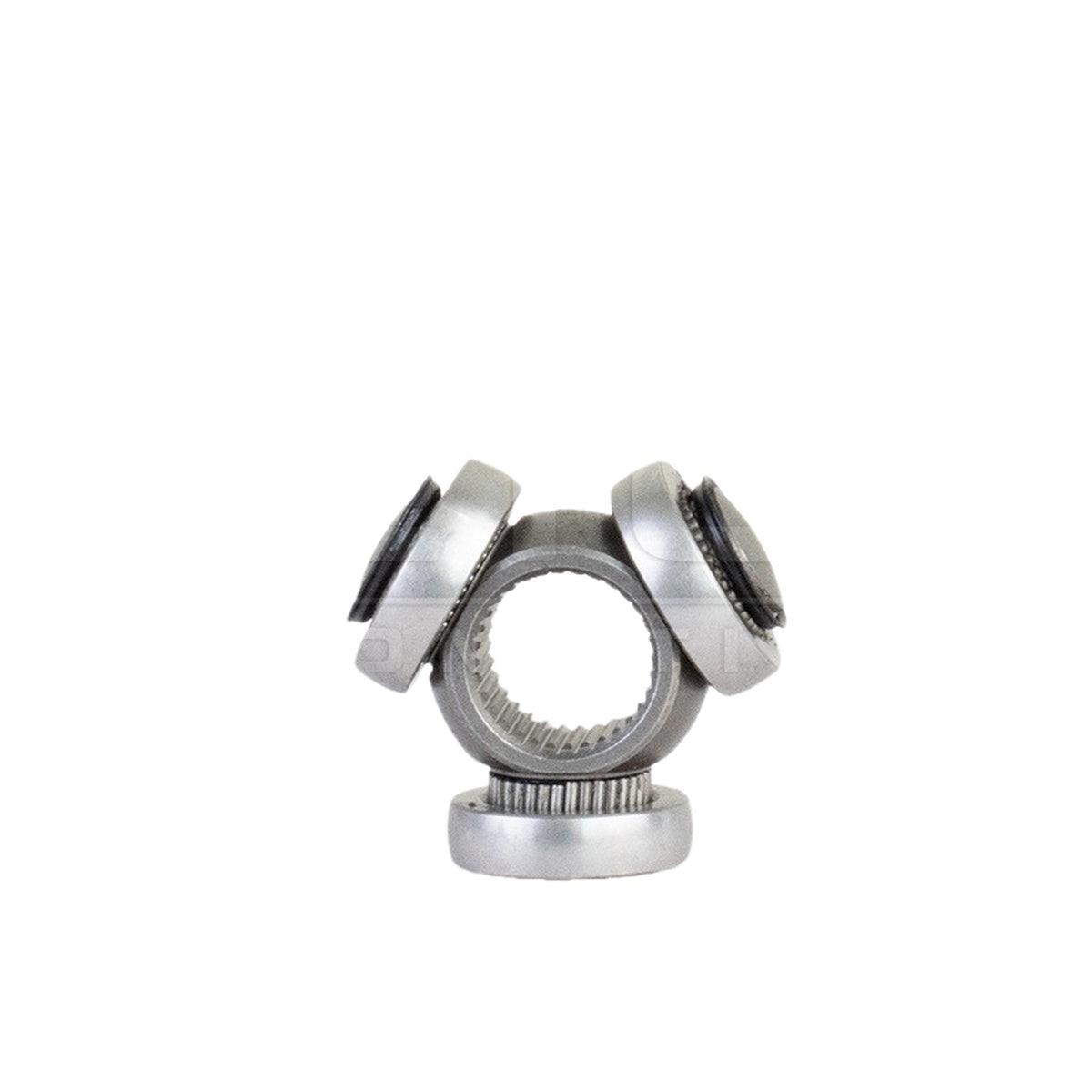 Tulipa - Vetor - VT5843 - (4)