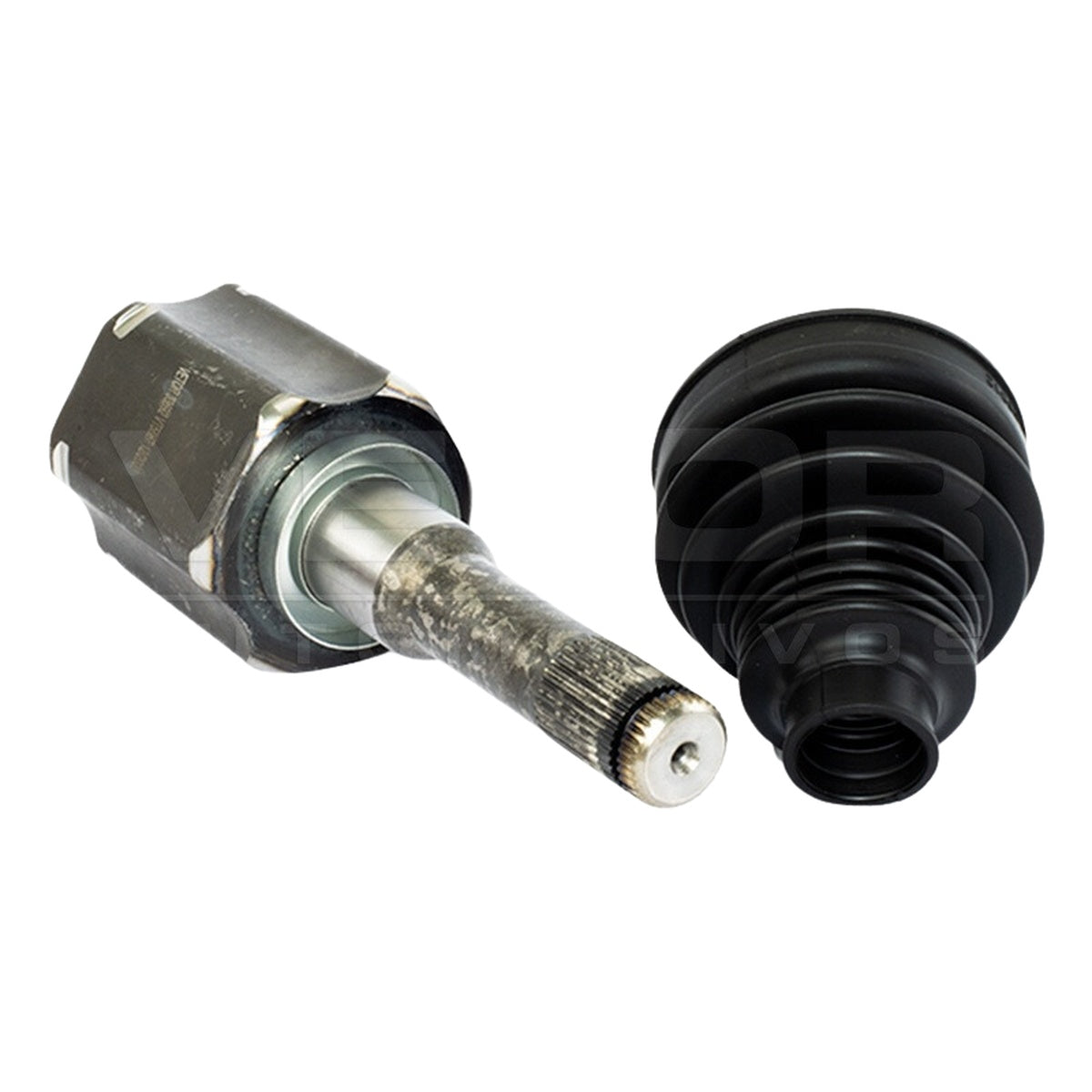 Tulipa - Vetor - VT5867 - (3)