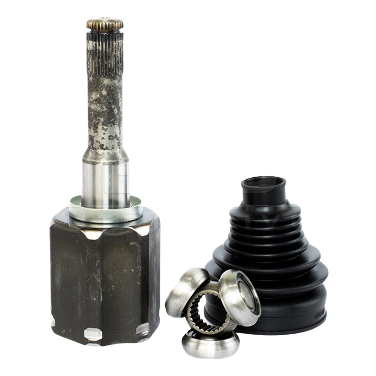 Tulipa - Vetor - VT5867 - (4)
