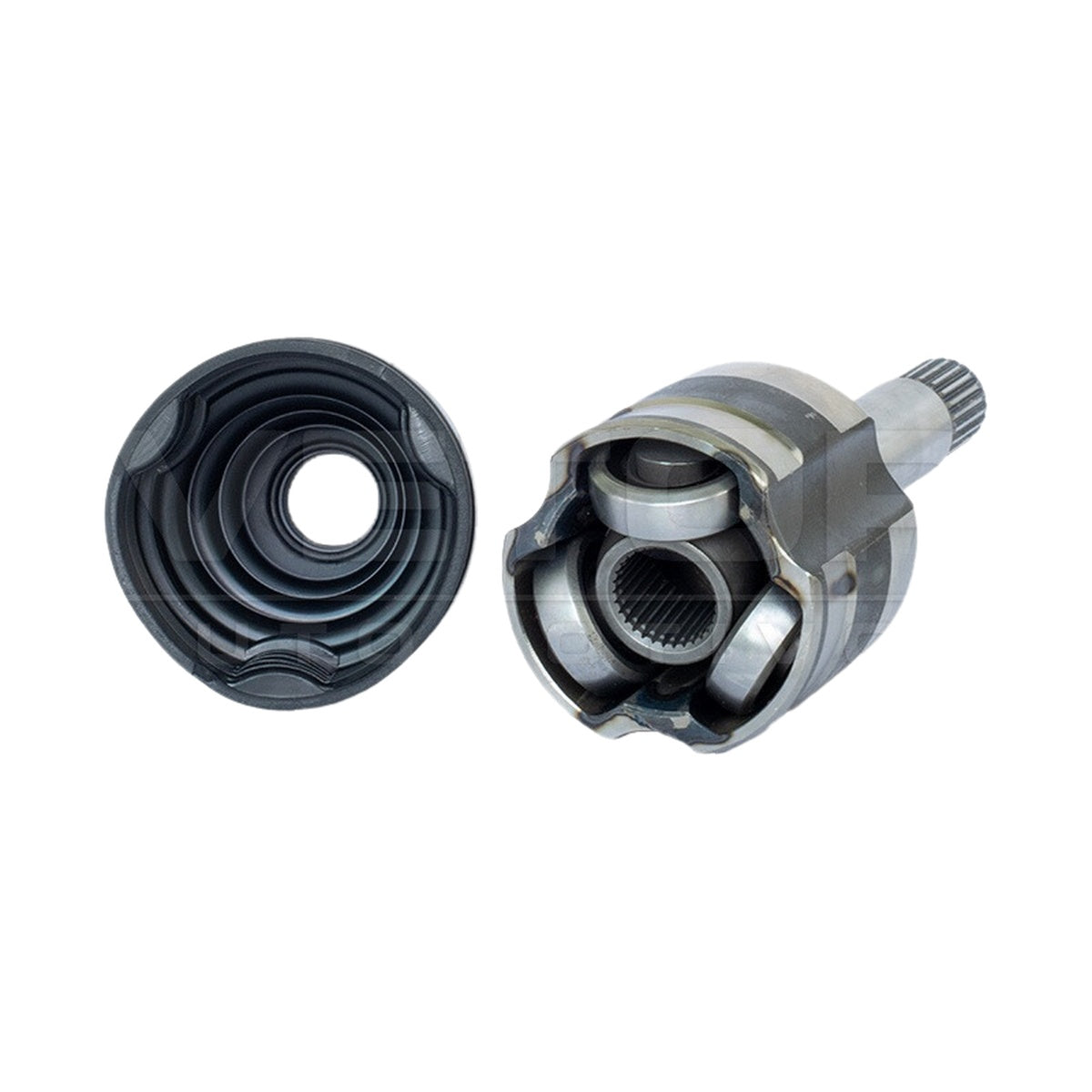 Tulipa - Vetor - VT5929 - (2)