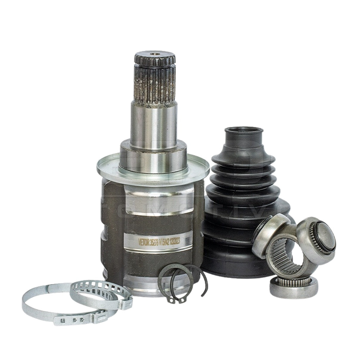 Tulipa - Vetor - VT5842 - (1)