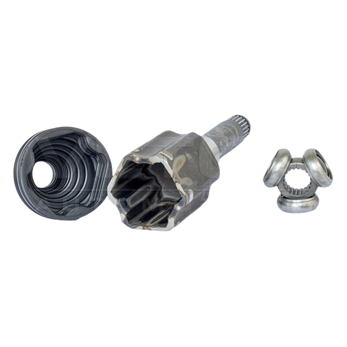 Tulipa - Vetor - VT5933 - (2)