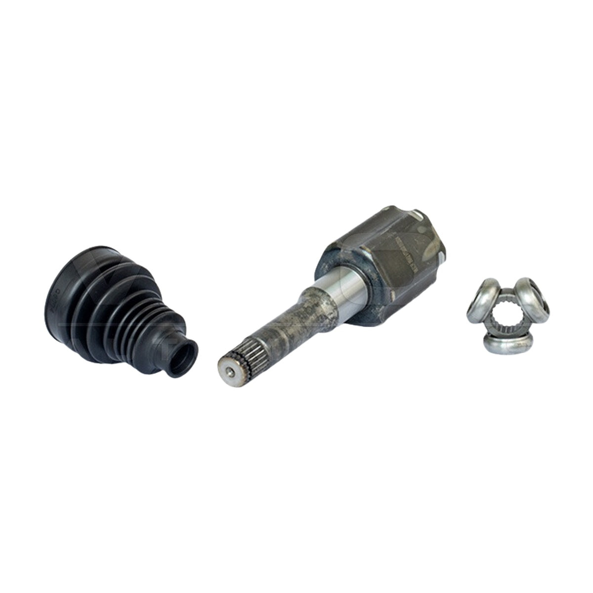 Tulipa - Vetor - VT5933 - (3)