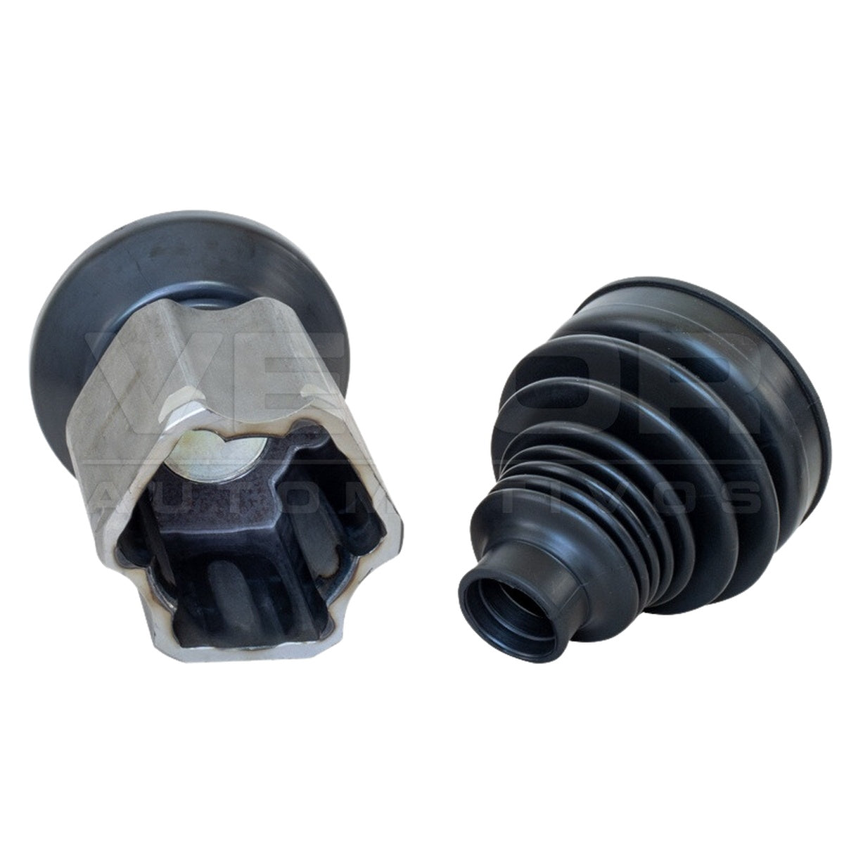 Tulipa - Vetor - VT5951 - (2)