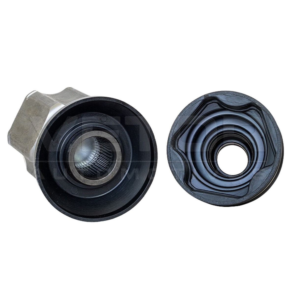 Tulipa - Vetor - VT5951 - (4)