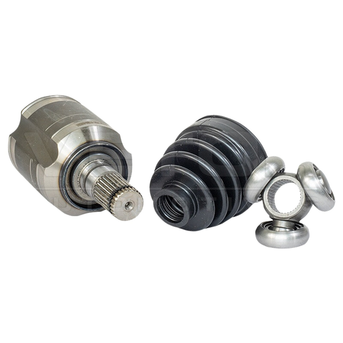 Tulipa - Vetor - VT5695 - (3)