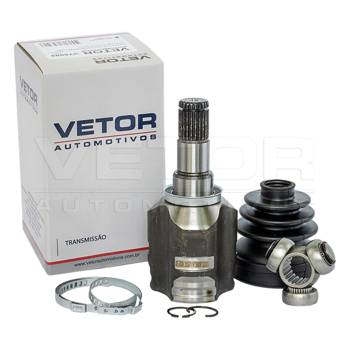 Tulipa - Vetor - VT5809 - (1)