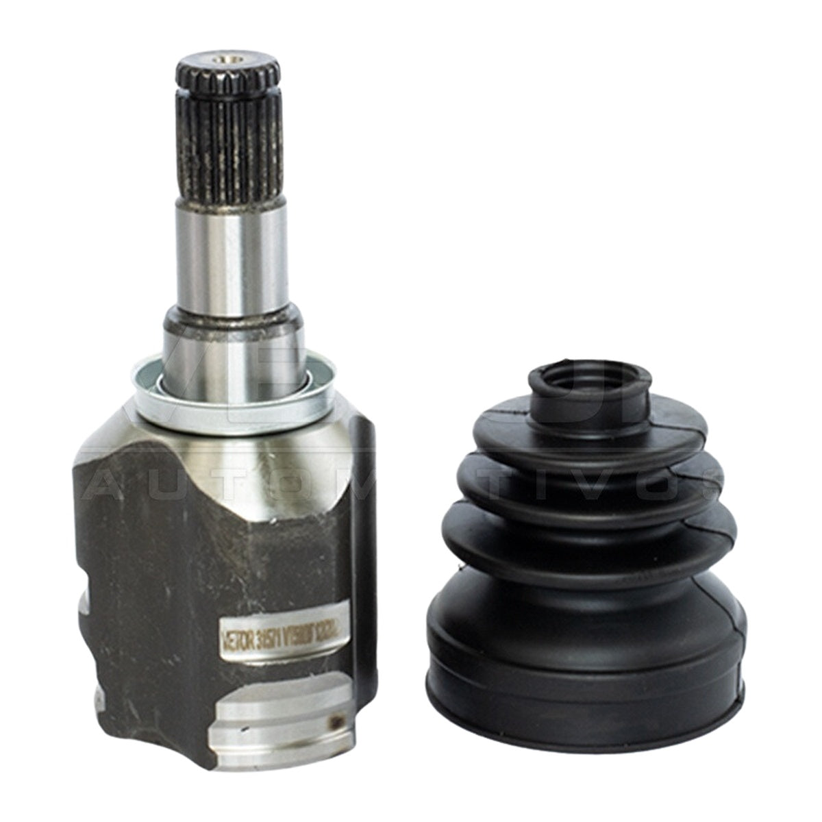 Tulipa - Vetor - VT5809 - (2)