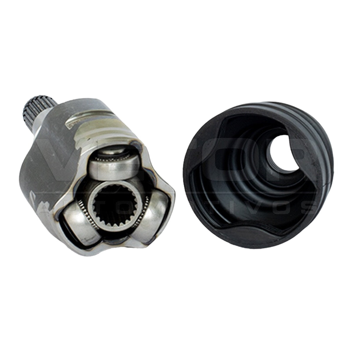 Tulipa - Vetor - VT5809 - (3)
