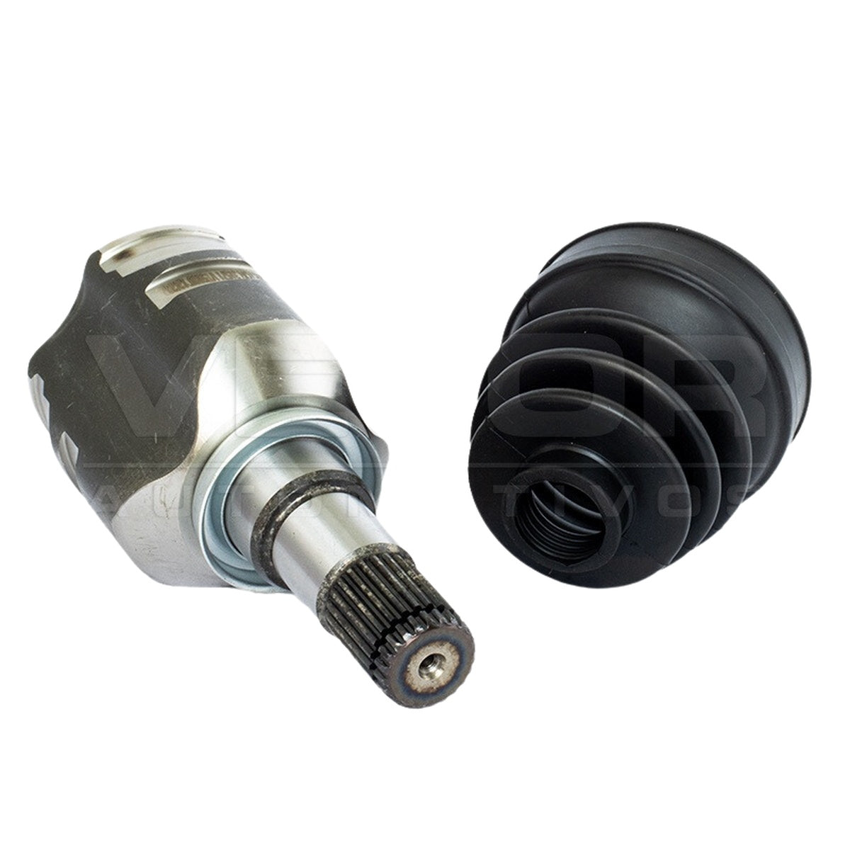 Tulipa - Vetor - VT5809 - (4)