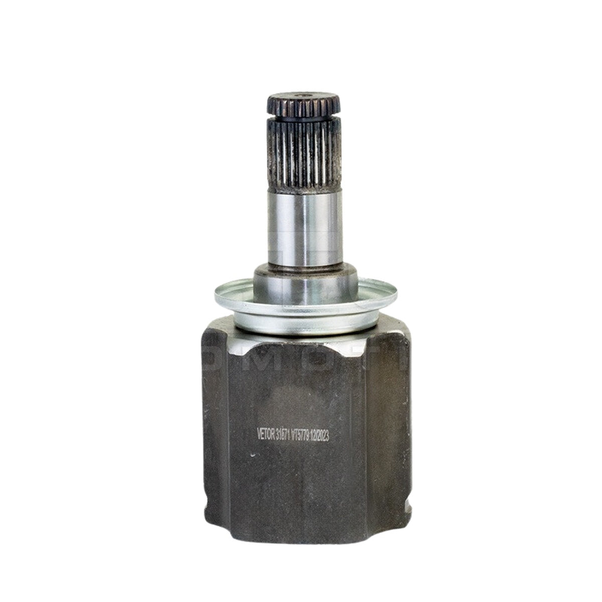 Tulipa - Vetor - VT5779 - (6)