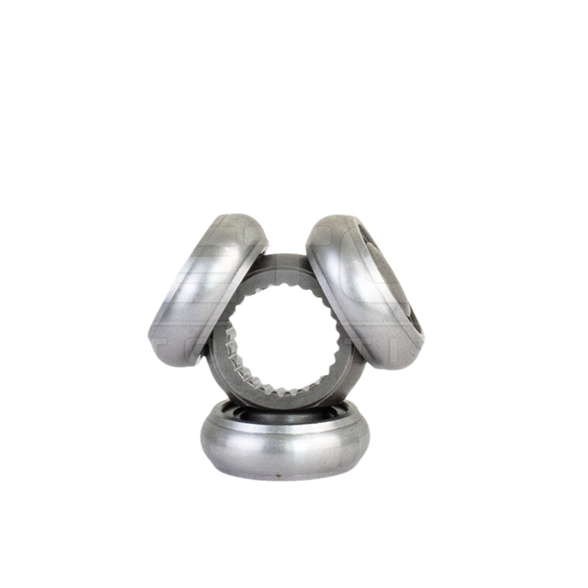 Tulipa - Vetor - VT5779 - (7)