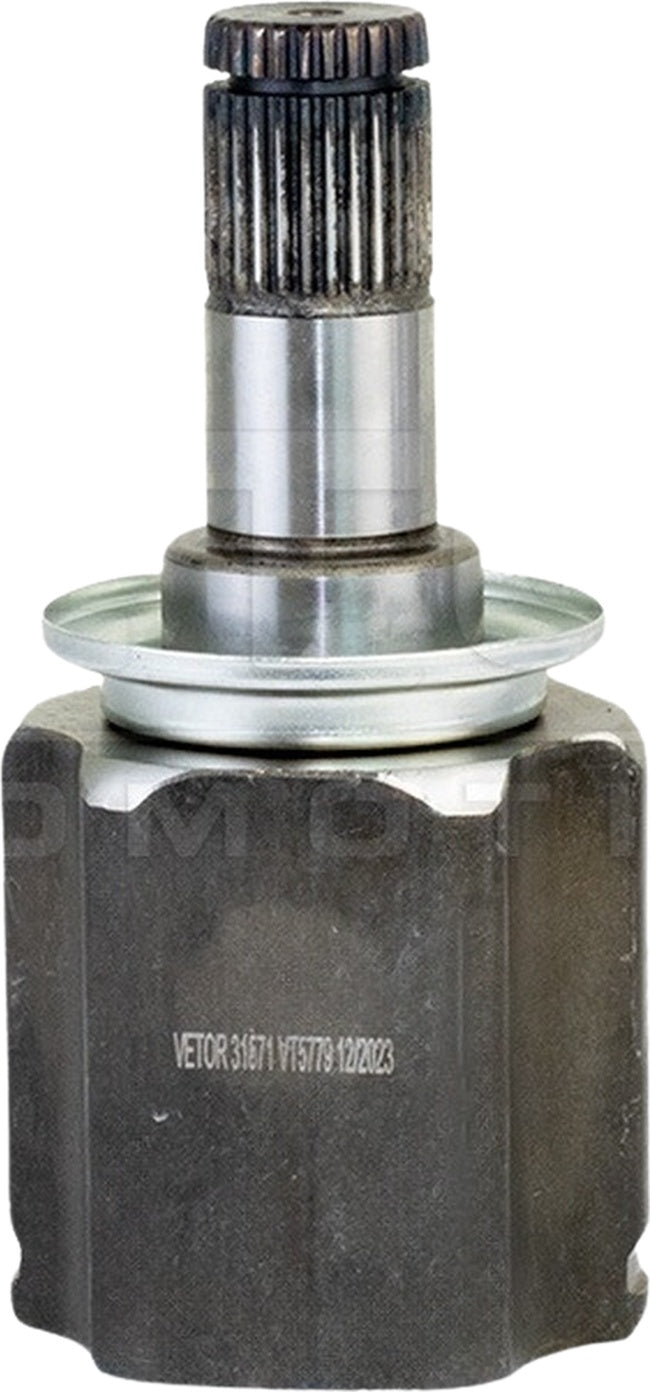 Tulipa - Vetor - VT5779 - (2)