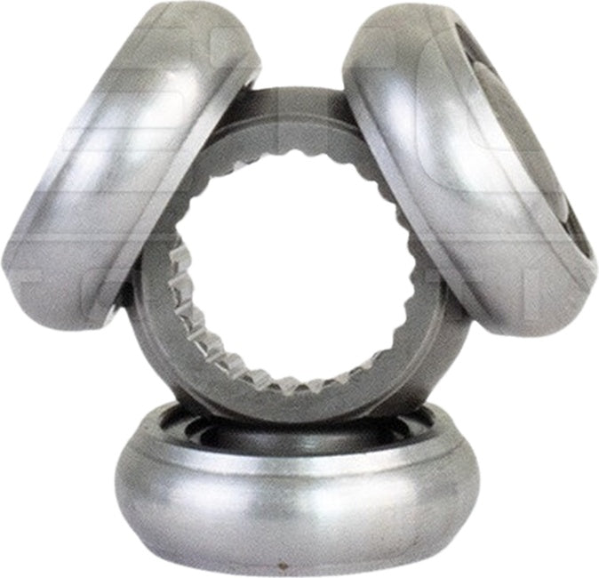 Tulipa - Vetor - VT5779 - (3)