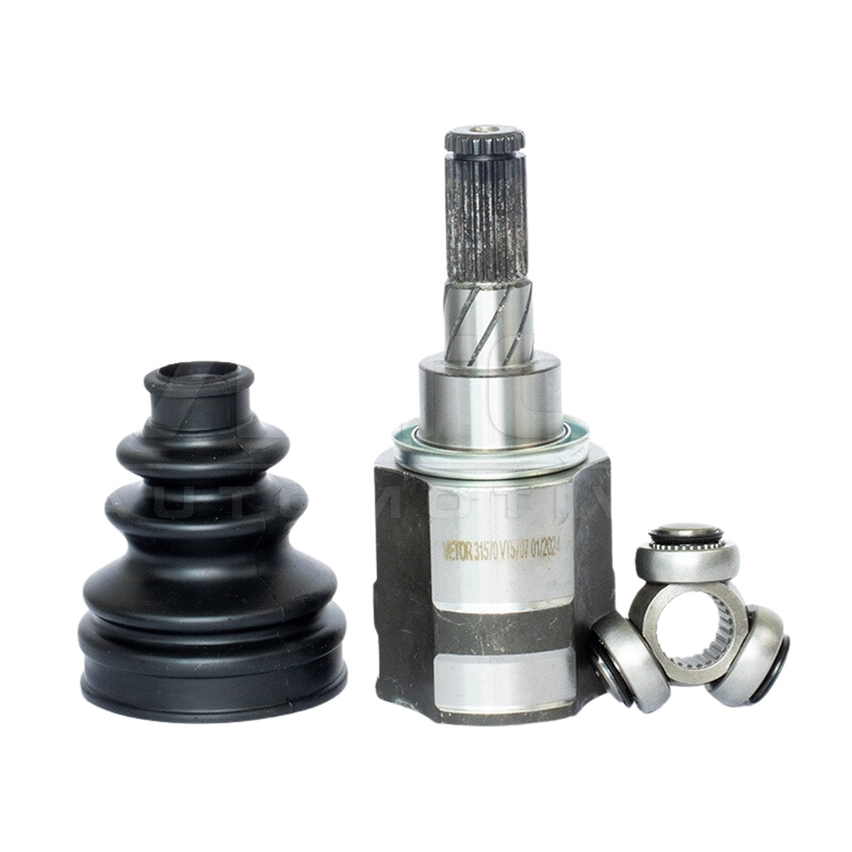 Tulipa - Vetor - VT5707 - (2)