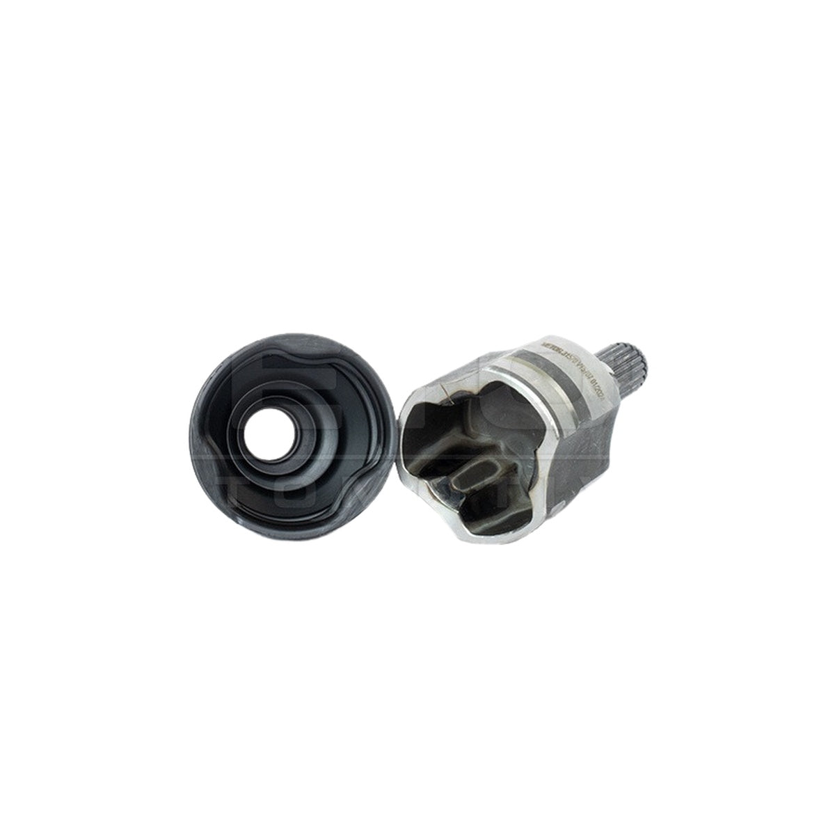 Tulipa - Vetor - VT5707 - (3)