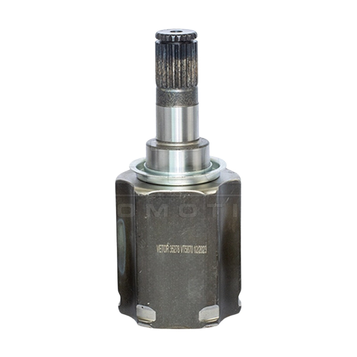 Tulipa - Vetor - VT5870 - (4)