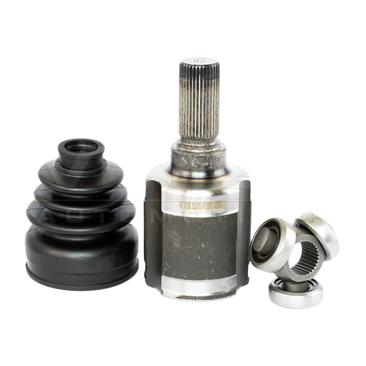 Tulipa - Vetor - VT5881 - (2)