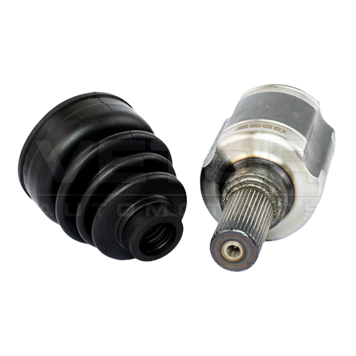 Tulipa - Vetor - VT5881 - (4)