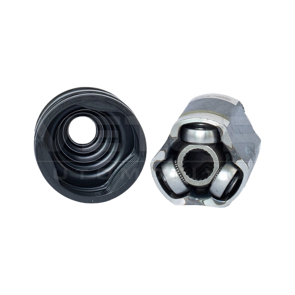 Tulipa - Vetor - VT5950 - (3)