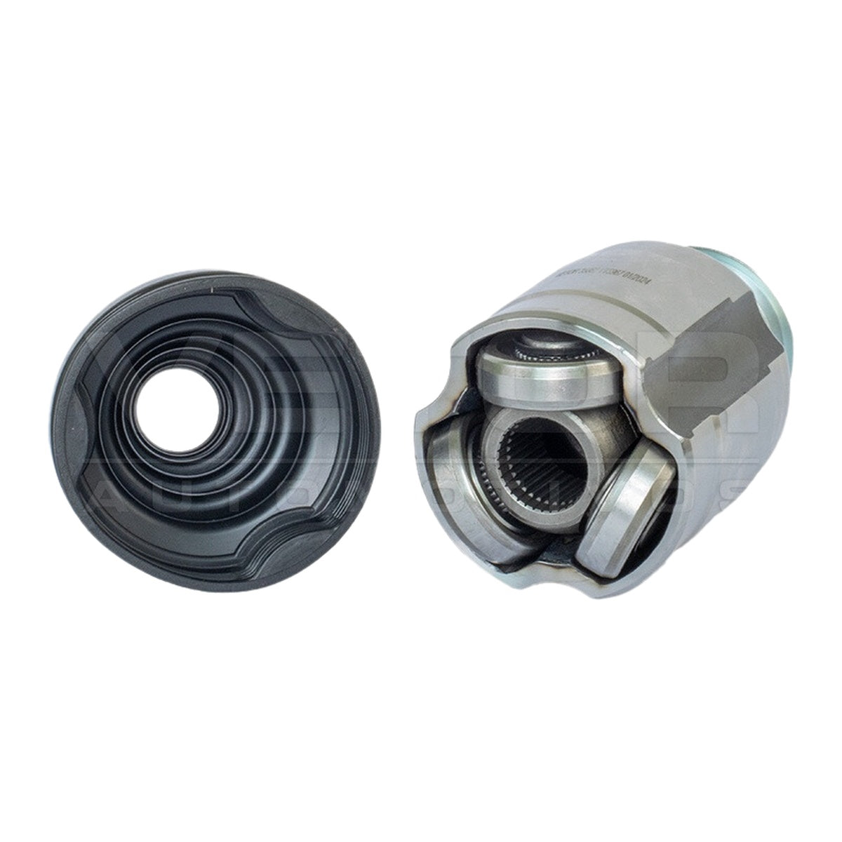 Tulipa - Vetor - VT5967 - (5)