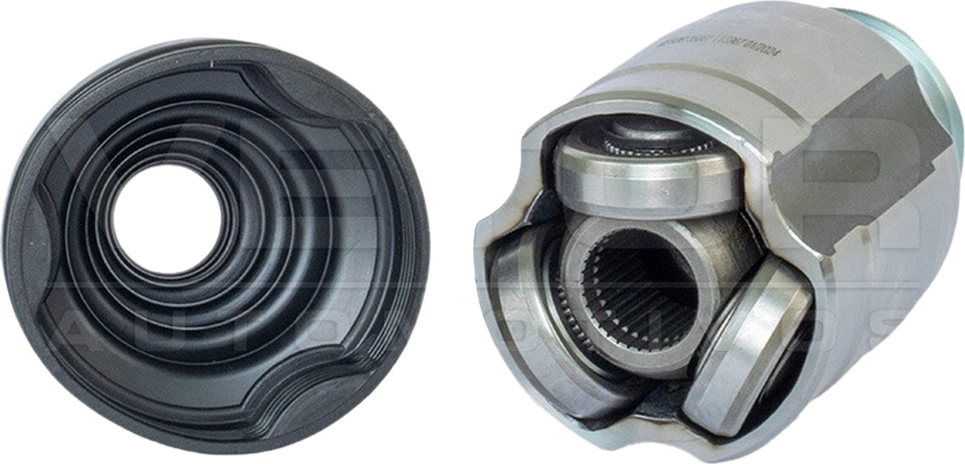 Tulipa - Vetor - VT5967 - (2)