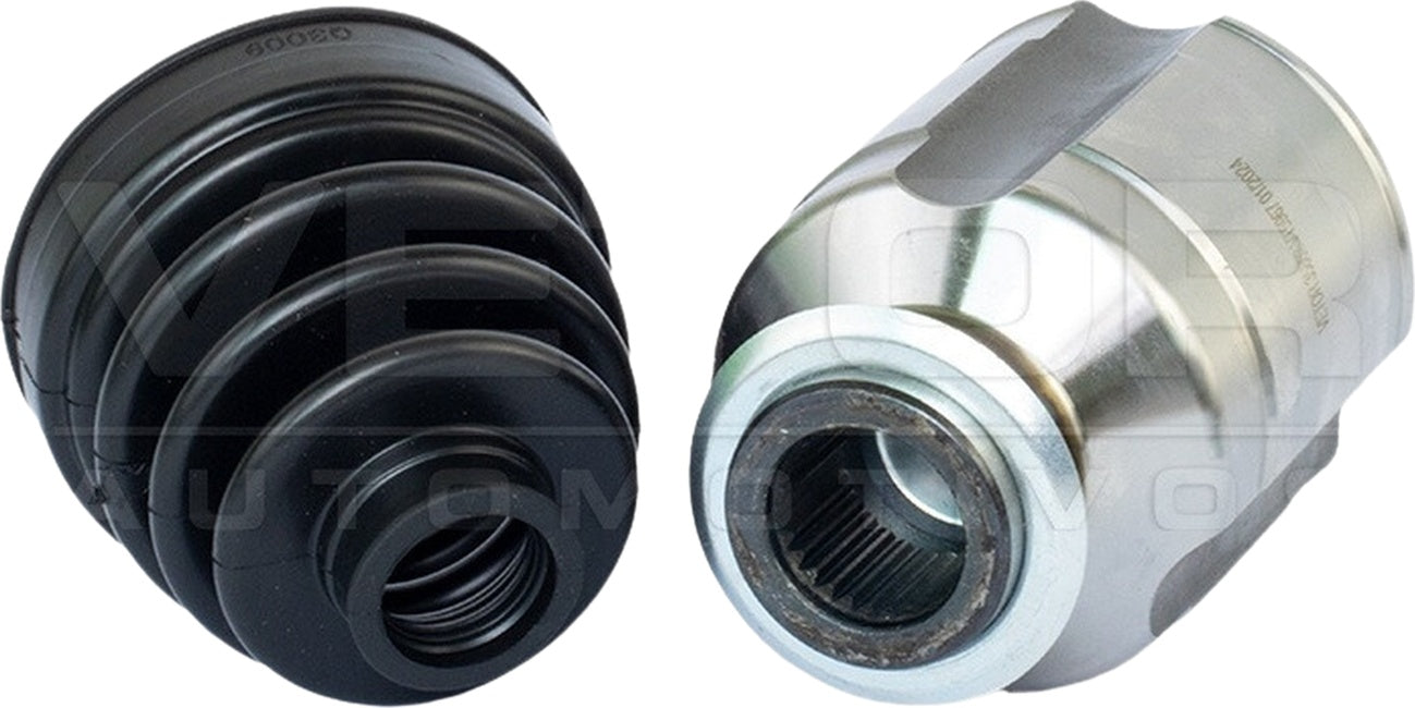 Tulipa - Vetor - VT5967 - (3)