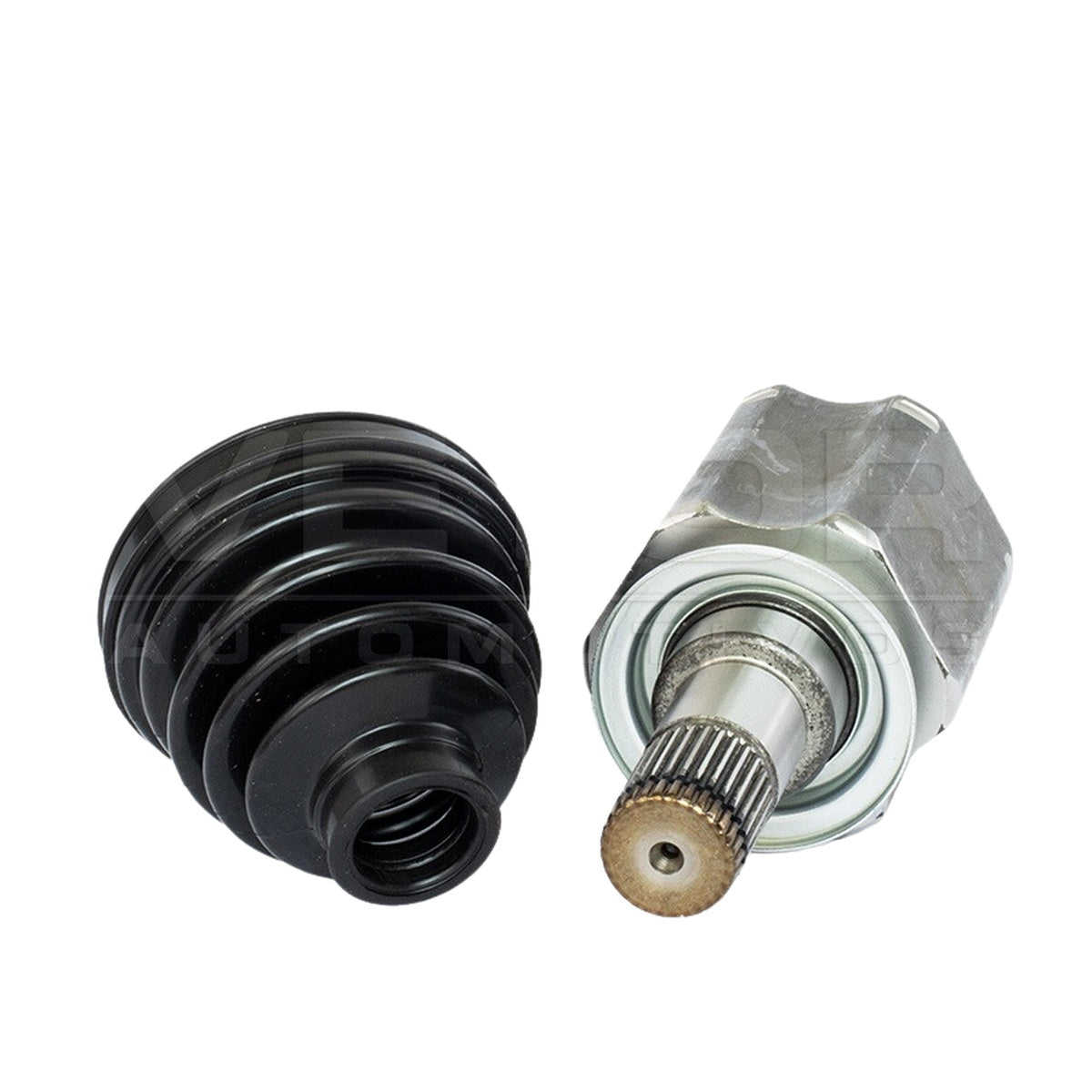 Tulipa - Vetor - VT5781 - (8)