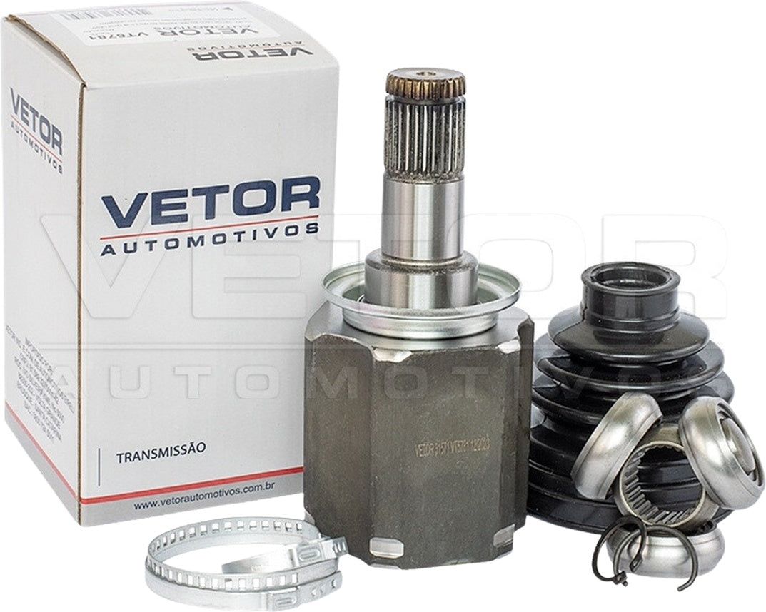 Tulipa - Vetor - VT5781 - (1)