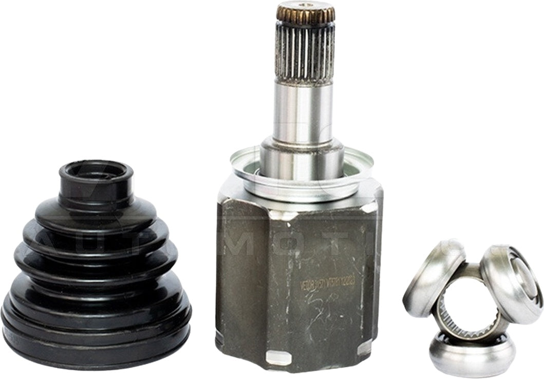 Tulipa - Vetor - VT5781 - (2)