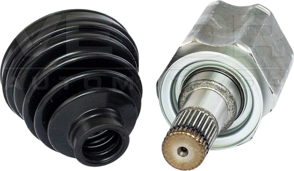 Tulipa - Vetor - VT5781 - (4)