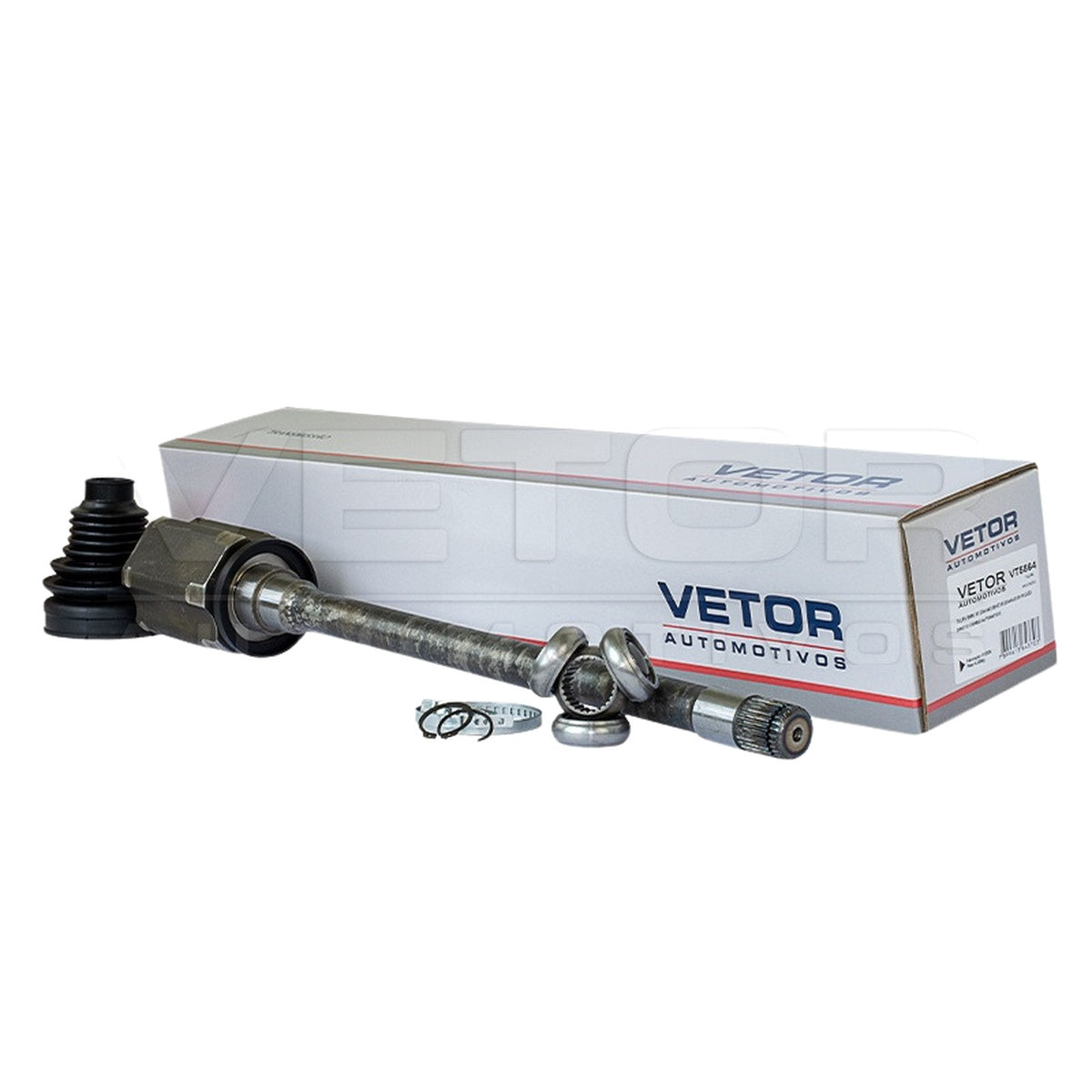 Tulipa - Vetor - VT5864 - (1)