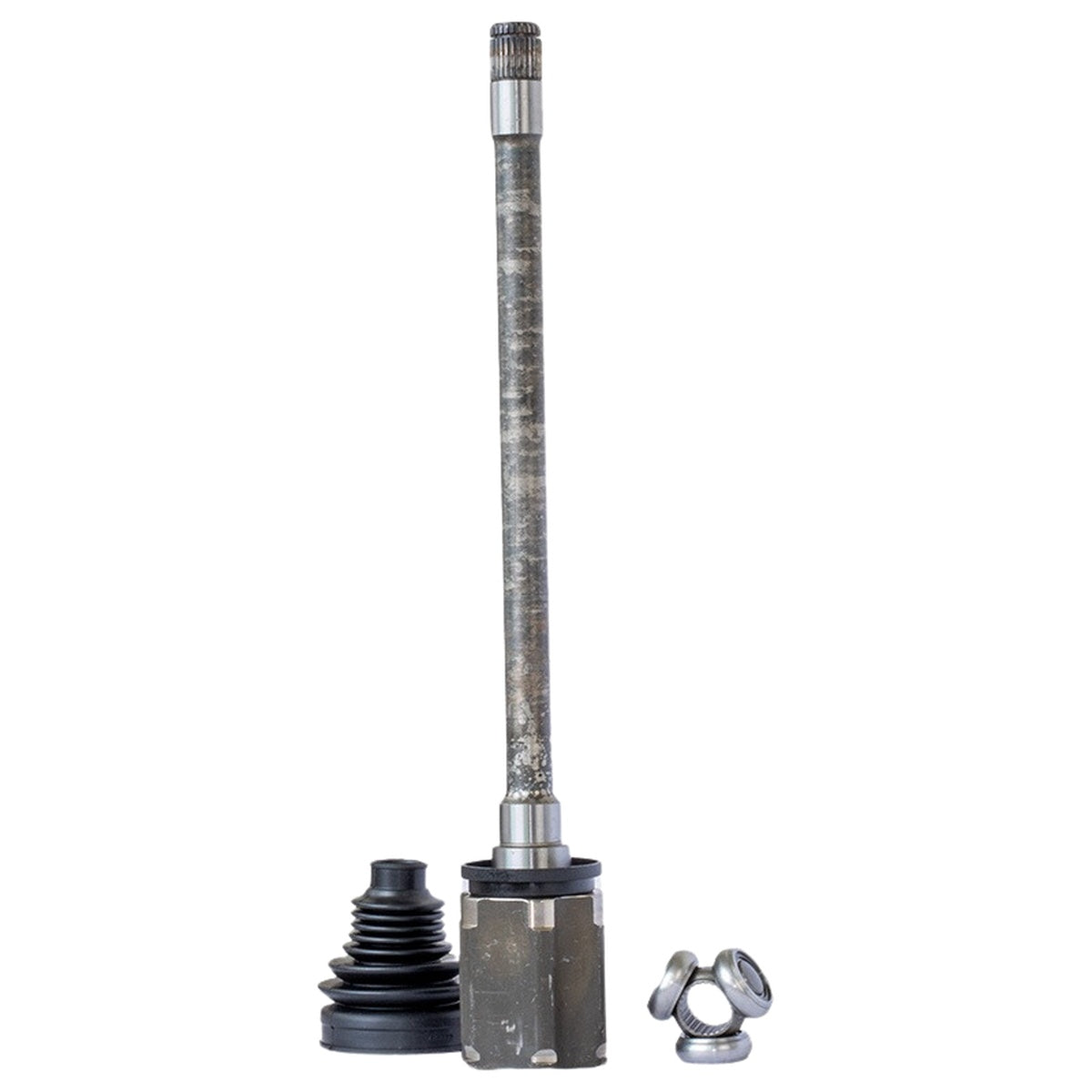 Tulipa - Vetor - VT5864 - (2)