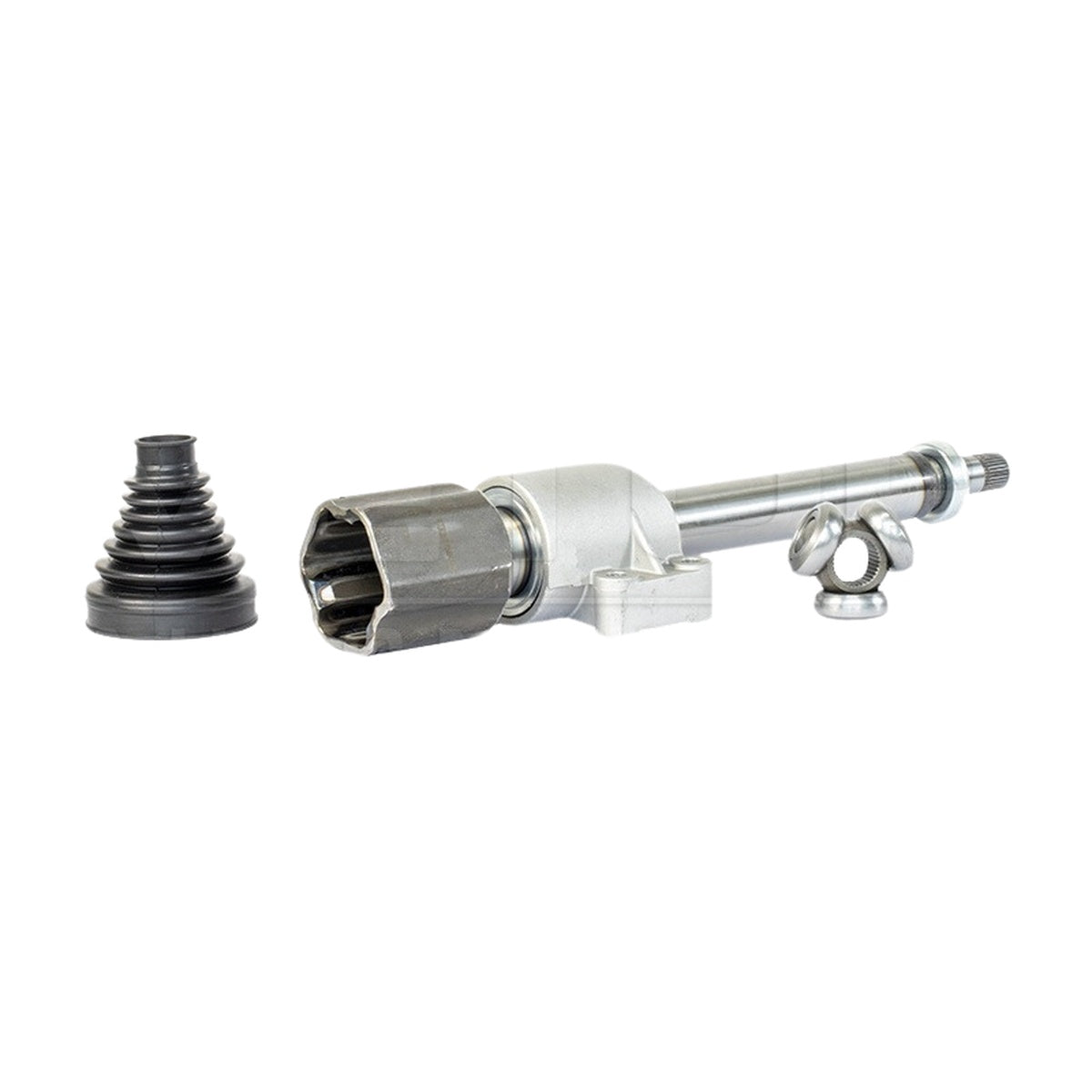 Tulipa - Vetor - VT5701 - (3)