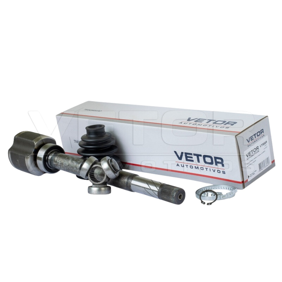 Tulipa - Vetor - VT5669 - (1)