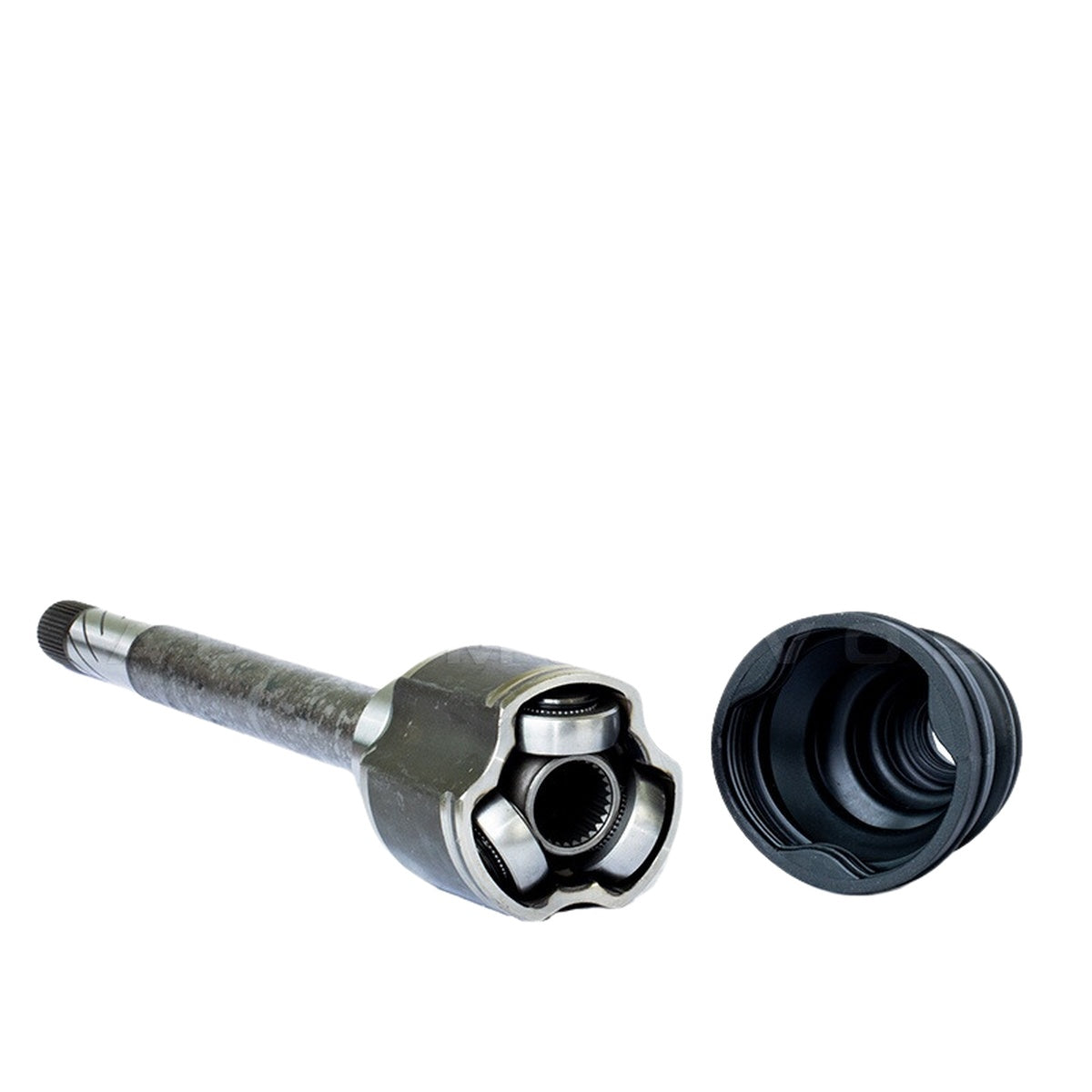 Tulipa - Vetor - VT5669 - (3)