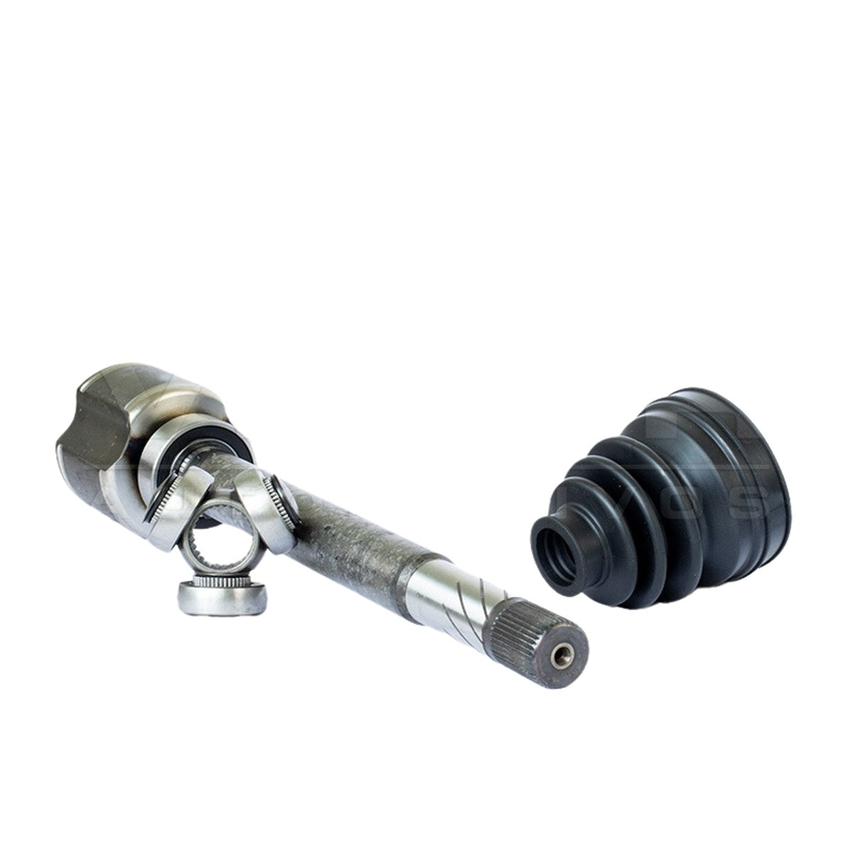 Tulipa - Vetor - VT5669 - (4)