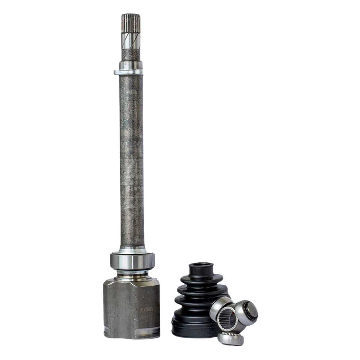 Tulipa - Vetor - VT5672 - (2)