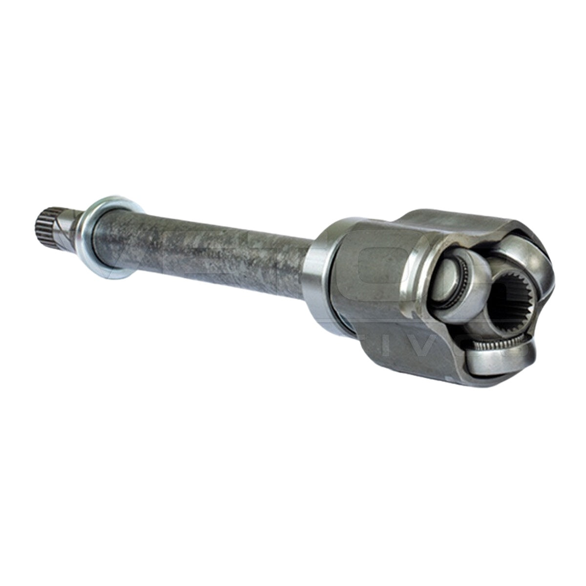 Tulipa - Vetor - VT5672 - (4)