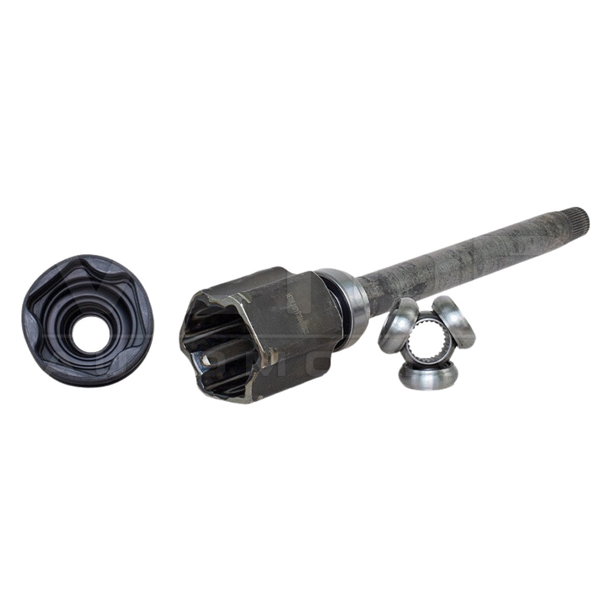 Tulipa - Vetor - VT5684 - (3)