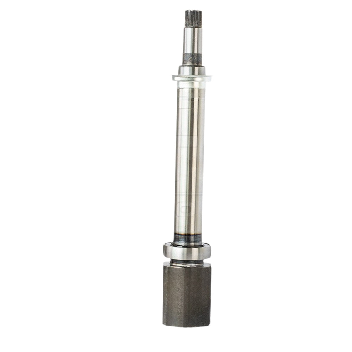 Tulipa - Vetor - VT5847 - (1)