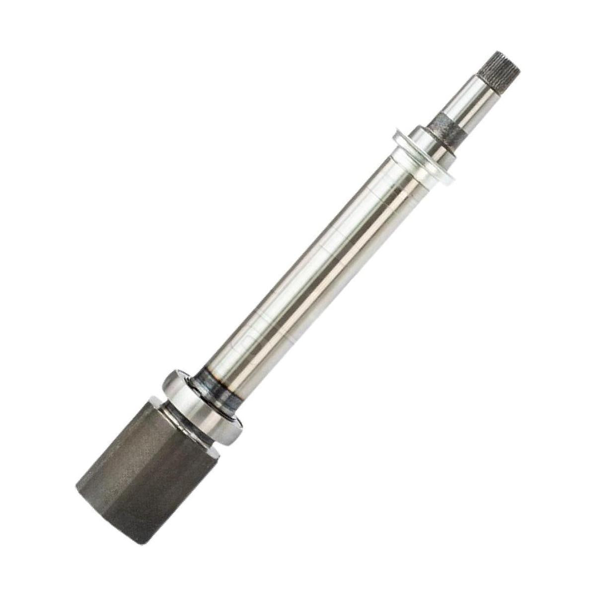 Tulipa - Vetor - VT5847 - (2)