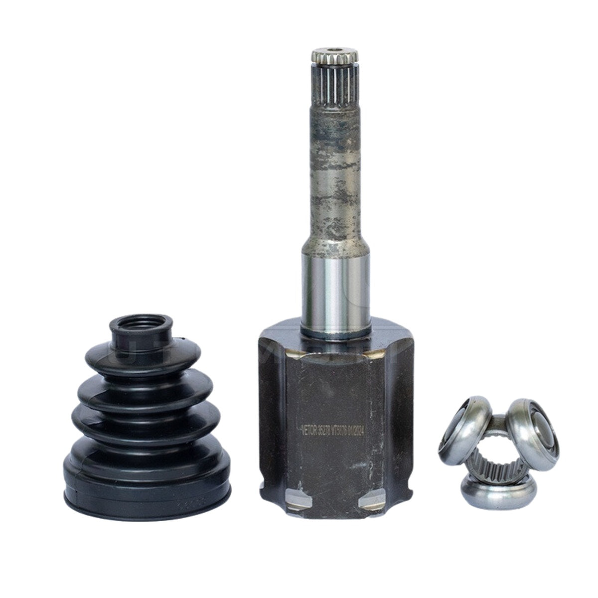 Tulipa - Vetor - VT5876 - (2)