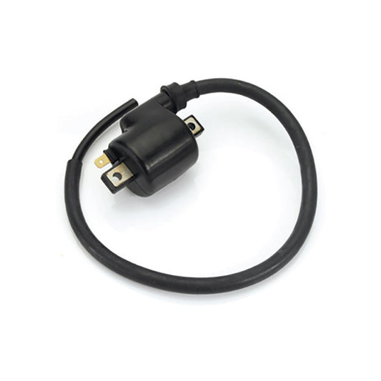 Bobina de Ignição - Gauss - GM12012 - (1)