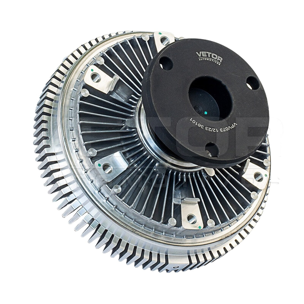 Polia Viscosa - Vetor - VPV073 - (6)