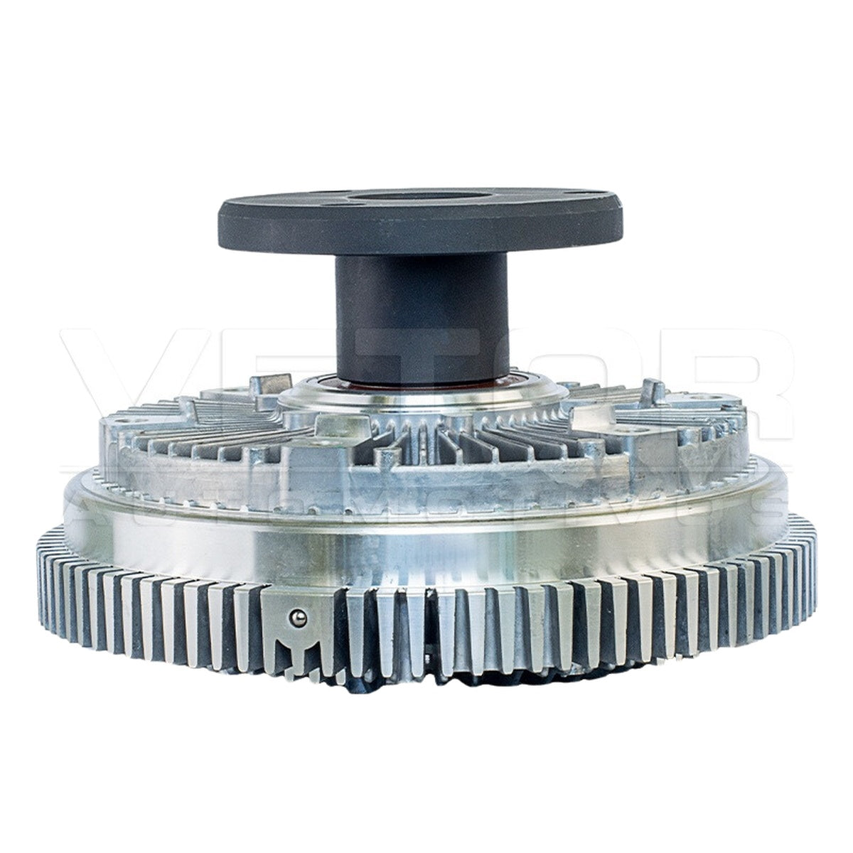 Polia Viscosa - Vetor - VPV073 - (8)