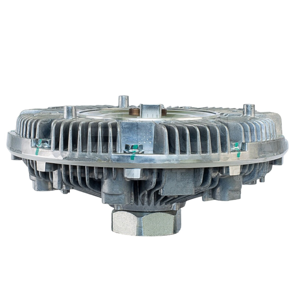 Polia Viscosa - Vetor - VPV075 - (8)
