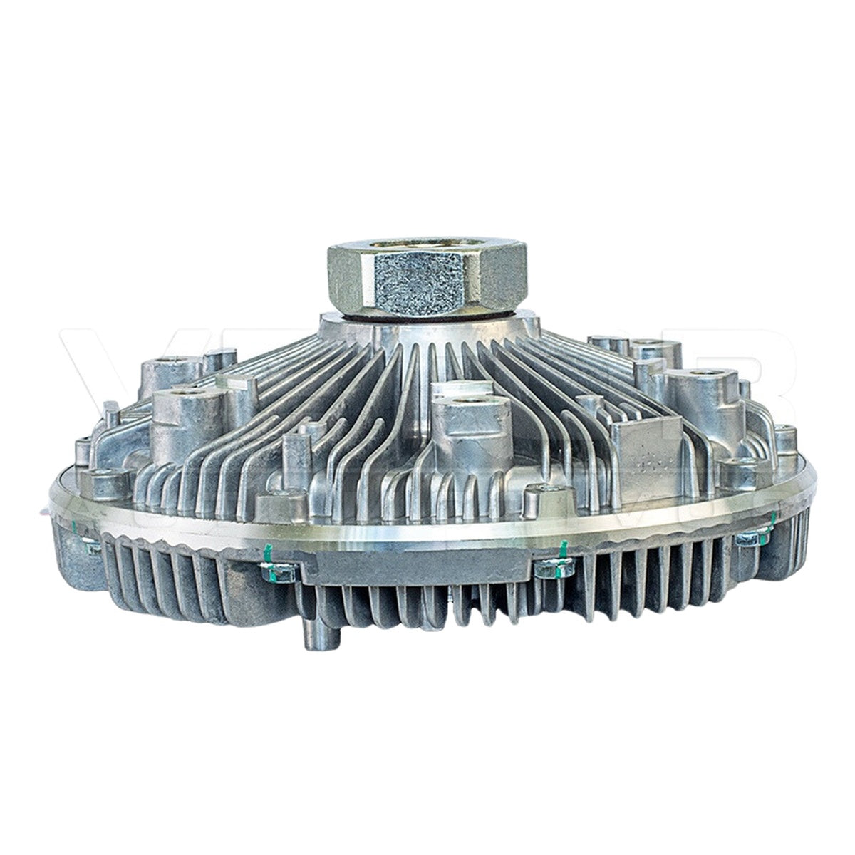 Polia Viscosa - Vetor - VPV080 - (3)