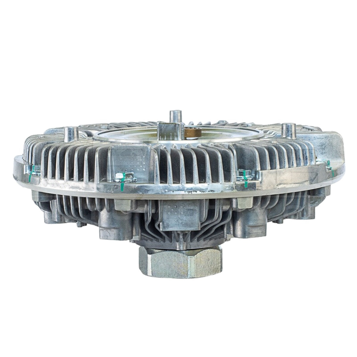 Polia Viscosa - Vetor - VPV080 - (4)