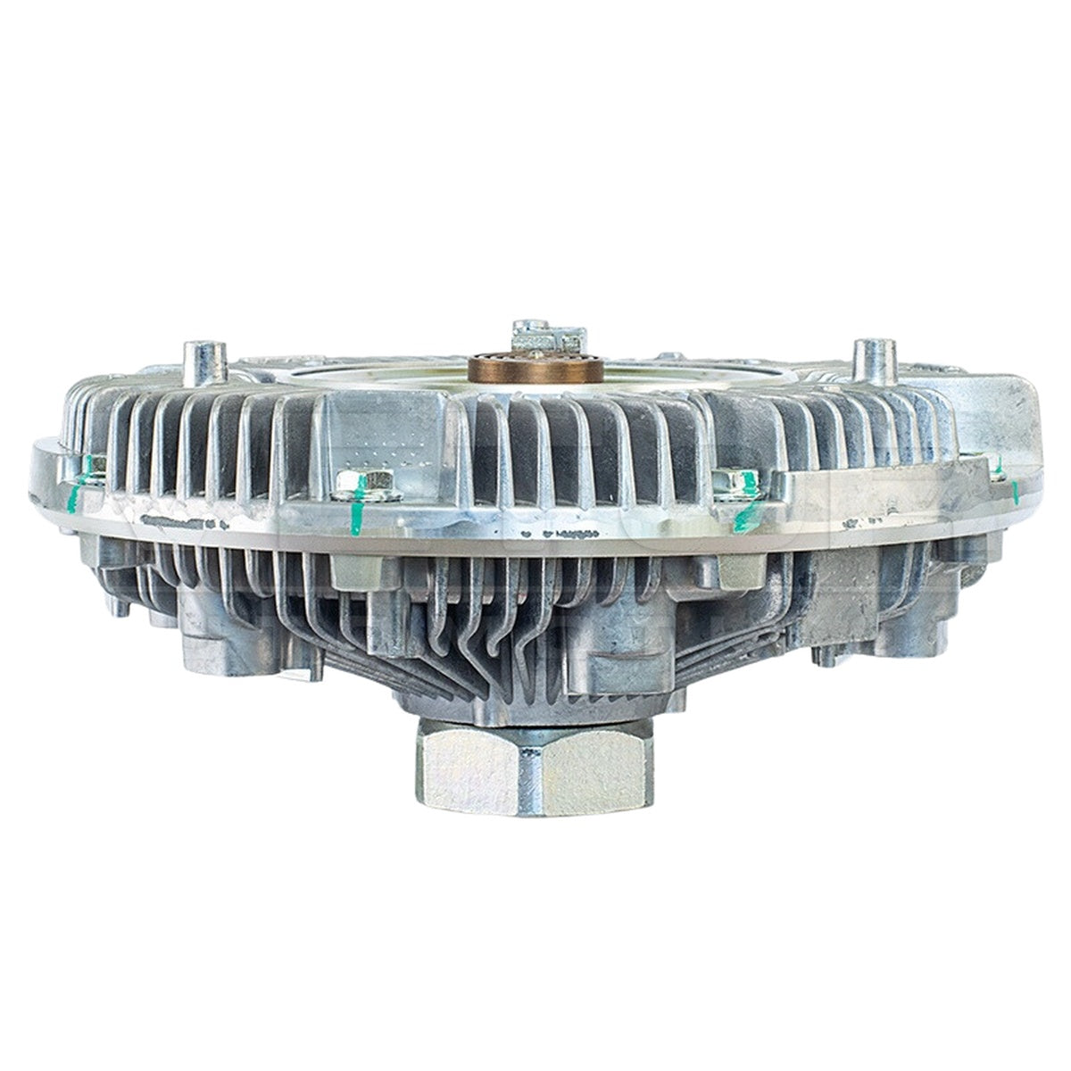Polia Viscosa - Vetor - VPV082 - (3)